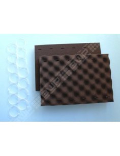 Kit de Mousses noires (x2)