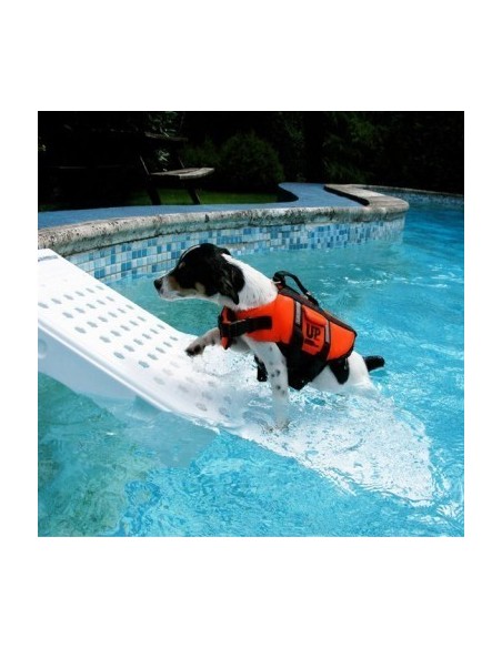 Rampe de piscine pour chien - blanc
