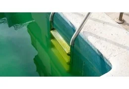 Comment empêcher les algues de proliférer dans ma piscine ?
